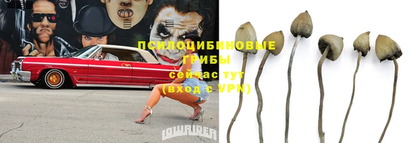 метадон Алзамай