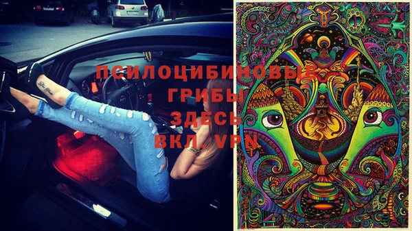 трава Алексин