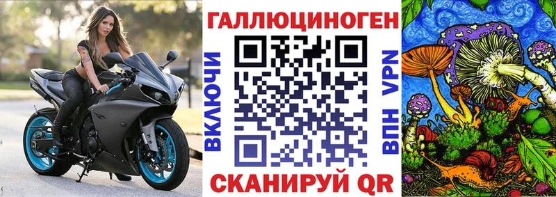 Псилоцибиновые грибы Cubensis  цены   OMG зеркало  Ноябрьск 